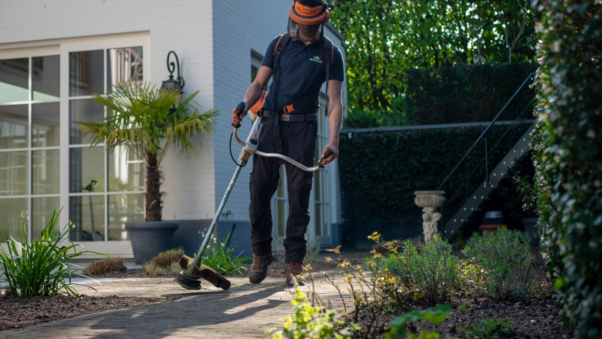 En trädgårdsarbetare ser till att vi kan köpa krukväxter, snittblommor, grönsaker och frukt ute i butikerna. Trädgårdsarbetarnas jobb är att ta hand om växter från de att de sås till det att de ska levereras till butikerna. De företag som en trädgårdsarbetare kan jobba hos kan variera från odling av köksväxter, prydnadsväxter, bär, frukt eller plantskoleväxter. Beroende på vilken årstid och växtslag som ska odlas görs det antingen utomhus eller inomhus i ett växthus. Oftast är företagen specialiserade på ett fåtal sorter av växter, som rosor, gurkor, tomater, tulpaner. Alla produkter säljs oftast i stora partier till grossister som sedan säljer dom vidare till butikerna där vi kan handla dem. För att kunna jobba som trädgårdsarbetare kommer du behöva ta grönt kort inom branschen. Det består av ett praktiskt prov och ett teoretiskt prov. Du gör proven under en och samma dag. Klarar du både kommer du få ett diplom som bevis på dina kunskaper inom områdena mjölk, växtodling, gris och yrkesodling trädgård. Även ditt specialområde som du valt att fördjupa dig inom. Är du i ung finns det även utbildningar på gymnasienivå. Ett av de populäraste är naturprogrammet med inriktning trädgård. Det finns även liknande utbildningar hos komvux och andra vidareutbildningar inom yrkeshögskolan. Så är du sugen på att jobba med växter så finns det många möjligheter att utbilda sig för att kunna jobba med växter. Vill du jobba med snittblommor eller liknande i butik finns det även utbildningar för det. Sök bara på det yrket du är intresserad av tillsammans med den ort du bor på eller skulle kunna tänka dig att flytta till så borde du få upp massa alternativ. Som trädgårdsarbetare, oavsett bransch kommer din arbetsgivare antagligen ha krav på körkort. Har du inget körkort idag är det dags att göra slag i saken, bot du i uppland och vill ta Körlektioner i stockholm kan vi rekommendera JP’s körskola i Stockholm, Sundbyberg.