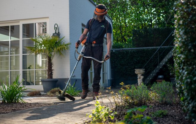 En trädgårdsarbetare ser till att vi kan köpa krukväxter, snittblommor, grönsaker och frukt ute i butikerna. Trädgårdsarbetarnas jobb är att ta hand om växter från de att de sås till det att de ska levereras till butikerna.  De företag som en trädgårdsarbetare kan jobba hos kan variera från odling av köksväxter, prydnadsväxter, bär, frukt eller plantskoleväxter. Beroende på vilken årstid och växtslag som ska odlas görs det antingen utomhus eller inomhus i ett växthus. Oftast är företagen specialiserade på ett fåtal sorter av växter, som rosor, gurkor, tomater, tulpaner. Alla produkter säljs oftast i stora partier till grossister som sedan säljer dom vidare till butikerna där vi kan handla dem.  För att kunna jobba som trädgårdsarbetare kommer du behöva ta grönt kort inom branschen. Det består av ett praktiskt prov och ett teoretiskt prov. Du gör proven under en och samma dag. Klarar du både kommer du få ett diplom som bevis på dina kunskaper inom områdena mjölk, växtodling, gris och yrkesodling trädgård. Även ditt specialområde som du valt att fördjupa dig inom. Är du i ung finns det även utbildningar på gymnasienivå. Ett av de populäraste är naturprogrammet med inriktning trädgård. Det finns även liknande utbildningar hos komvux och andra vidareutbildningar inom yrkeshögskolan. Så är du sugen på att jobba med växter så finns det många möjligheter att utbilda sig för att kunna jobba med växter. Vill du jobba med snittblommor eller liknande i butik finns det även utbildningar för det. Sök bara på det yrket du är intresserad av tillsammans med den ort du bor på eller skulle kunna tänka dig att flytta till så borde du få upp massa alternativ. Som trädgårdsarbetare, oavsett bransch kommer din arbetsgivare antagligen ha krav på körkort. Har du inget körkort idag är det dags att göra slag i saken, bot du i uppland och vill ta Körlektioner i stockholm kan vi rekommendera JP’s körskola i Stockholm, Sundbyberg.