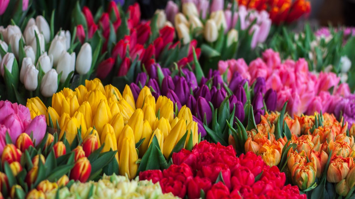 Hur skickar man blommor online?
